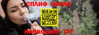 гидра Рязань
