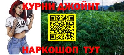 гидра Рязань