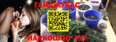 гидра Рязань