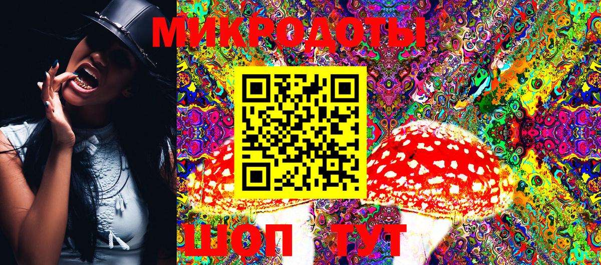 Галлюциногенные грибы Psilocybine cubensis Рыбинск